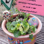 insektenschutzgebiet.png